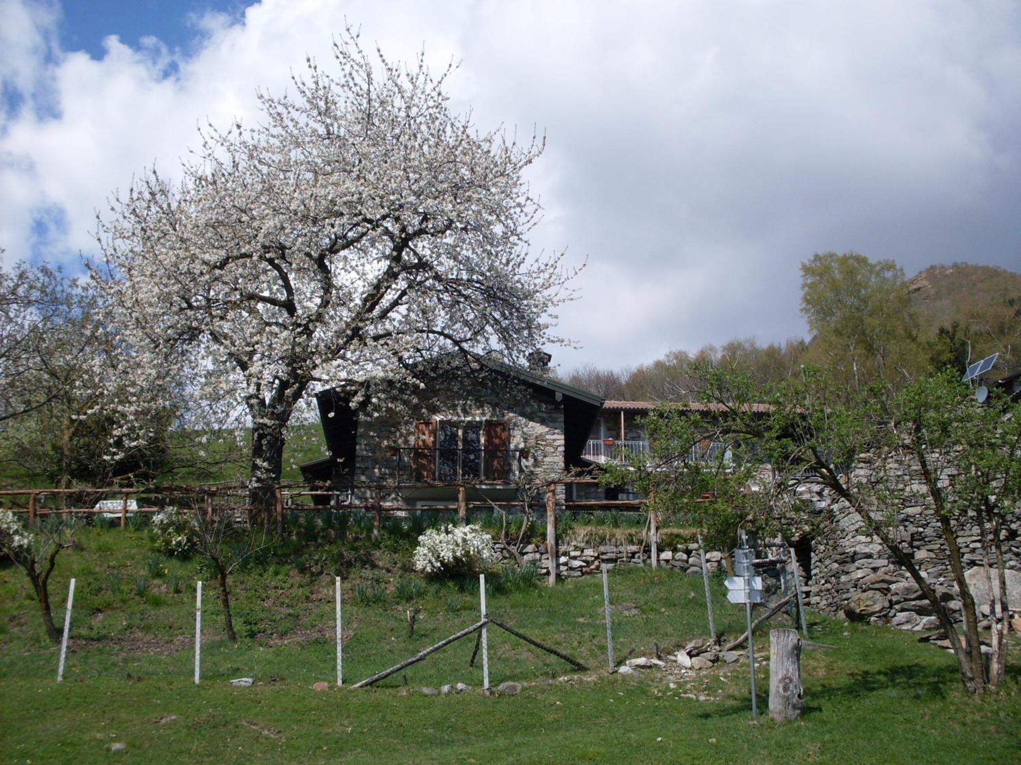 קנוביו Agriturismo Da Attilio מראה חיצוני תמונה