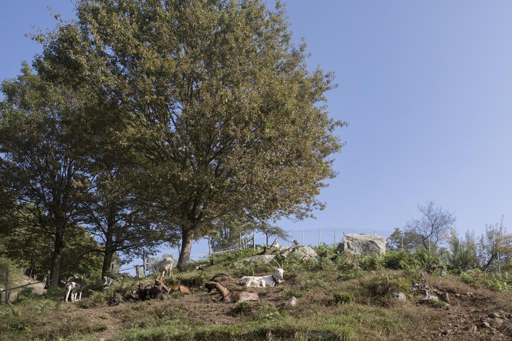 קנוביו Agriturismo Da Attilio מראה חיצוני תמונה